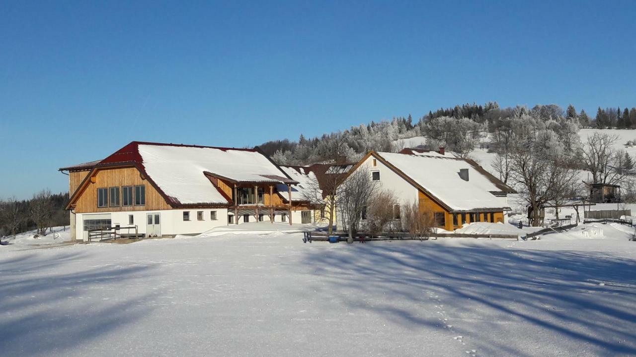 Oetscherblick Fam Winter Frankenfels Exteriör bild