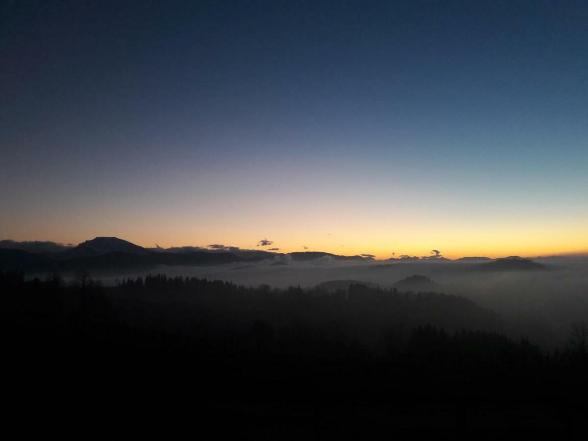 Oetscherblick Fam Winter Frankenfels Exteriör bild